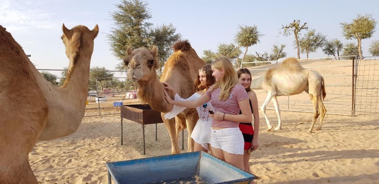 Legend Desert Camp Fulayj al Masha'ikh Eksteriør bilde